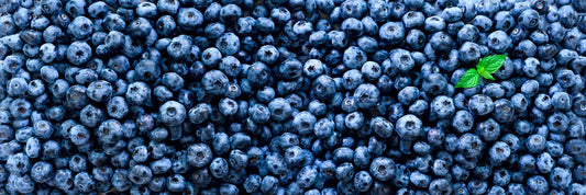 A spread of fresh wild blueberries.
